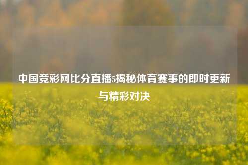 中国竞彩网比分直播5揭秘体育赛事的即时更新与精彩对决