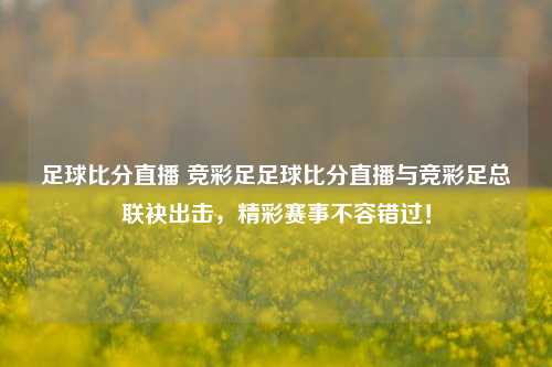 足球比分直播 竞彩足足球比分直播与竞彩足总联袂出击，精彩赛事不容错过！