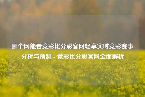 哪个网能看竞彩比分彩客网畅享实时竞彩赛事分析与预测 - 竞彩比分彩客网全面解析