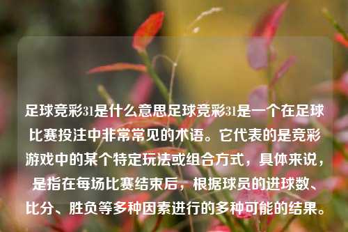 足球竞彩31是什么意思足球竞彩31是一个在足球比赛投注中非常常见的术语。它代表的是竞彩游戏中的某个特定玩法或组合方式，具体来说，是指在每场比赛结束后，根据球员的进球数、比分、胜负等多种因素进行的多种可能的结果。