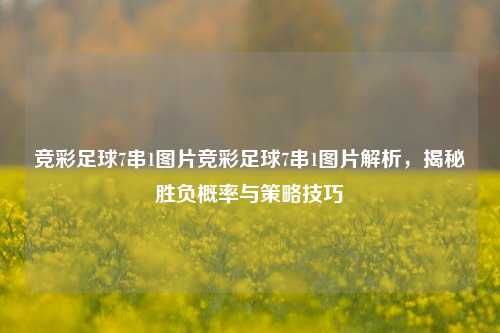竞彩足球7串1图片竞彩足球7串1图片解析，揭秘胜负概率与策略技巧