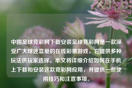 中国足球竞彩网下载安装足球竞彩网是一款深受广大球迷喜爱的在线彩票游戏，它提供多种玩法供玩家选择。本文将详细介绍如何在手机上下载和安装这款竞彩网应用，并提供一些使用技巧和注意事项。