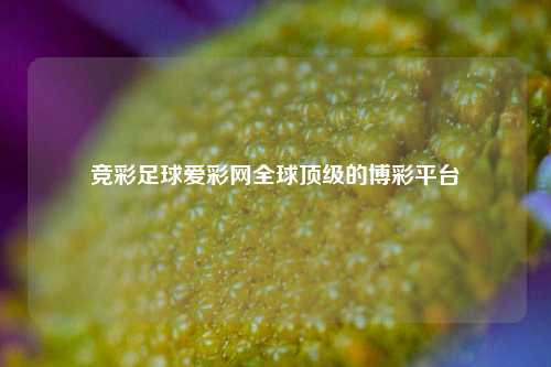 竞彩足球爱彩网全球顶级的博彩平台