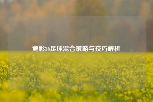 竞彩36足球混合策略与技巧解析