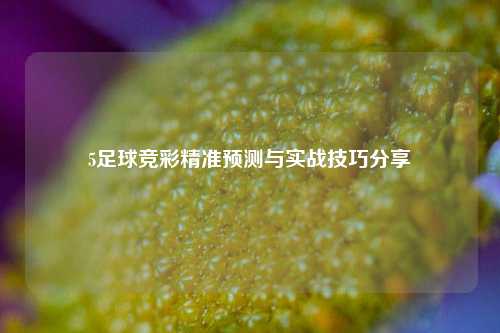5足球竞彩精准预测与实战技巧分享