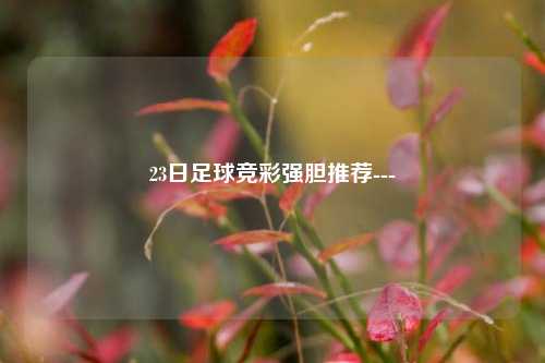 23日足球竞彩强胆推荐---
